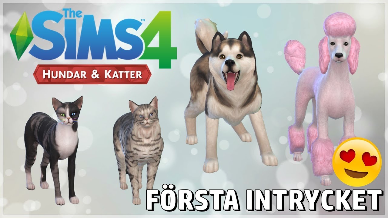 Sims 4 Hundar & Katter || Första Intrycket || Katter & Hundar i SES