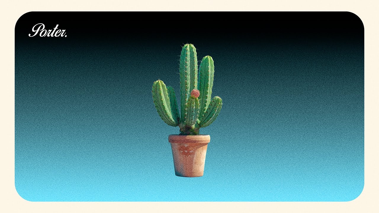 Cactus.