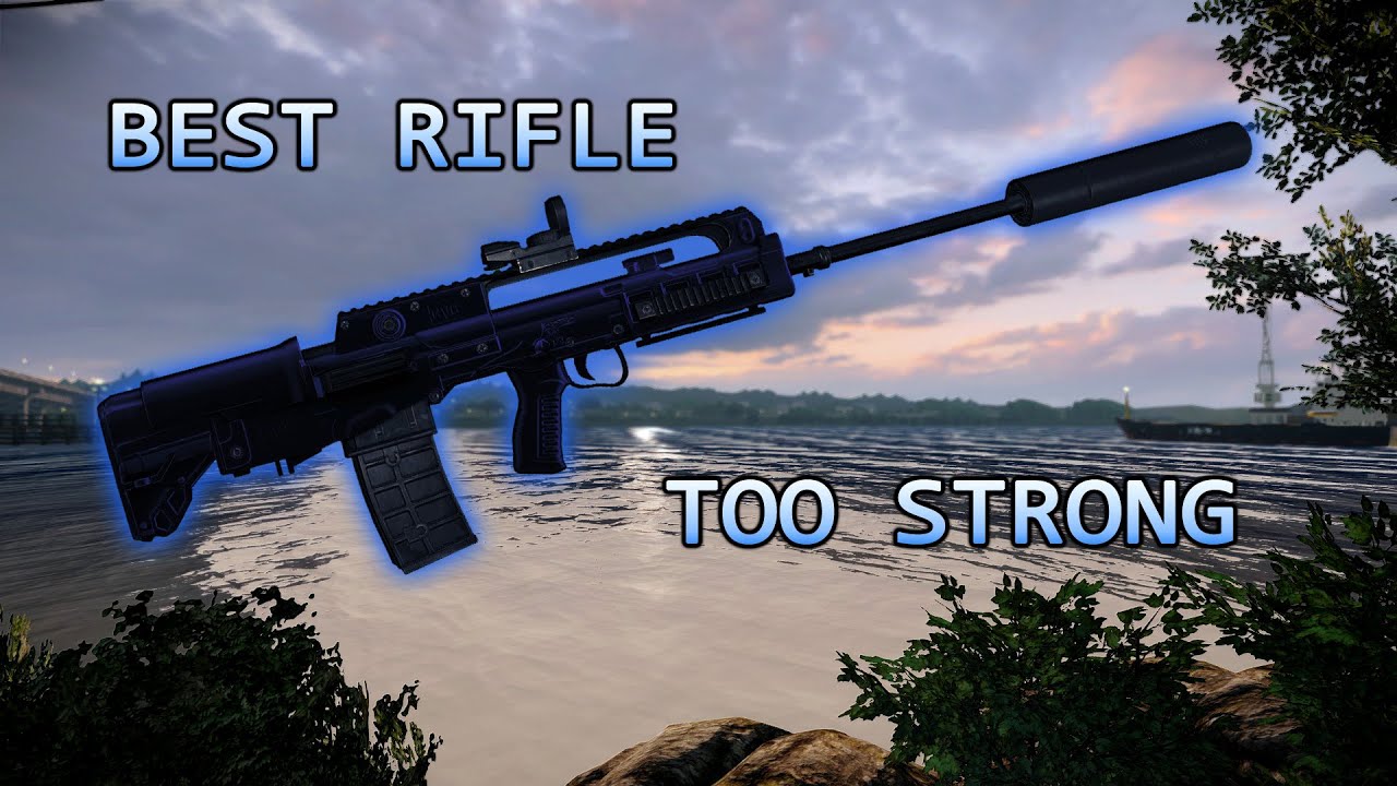 Anarchist LMG Reborn (Beneath the Mountain DSOD [No Downs]) -  OP Lion's Roar Build