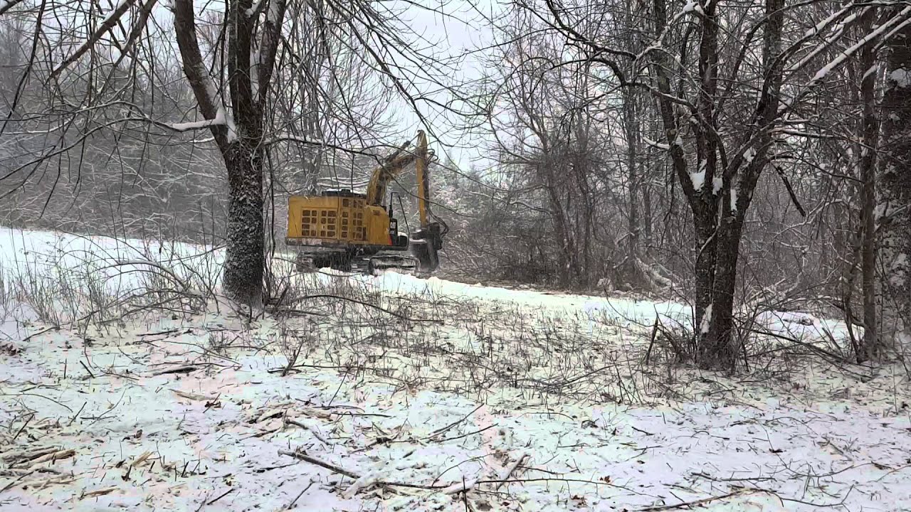 Brush clearing with a Brown Brontosaurus.2016