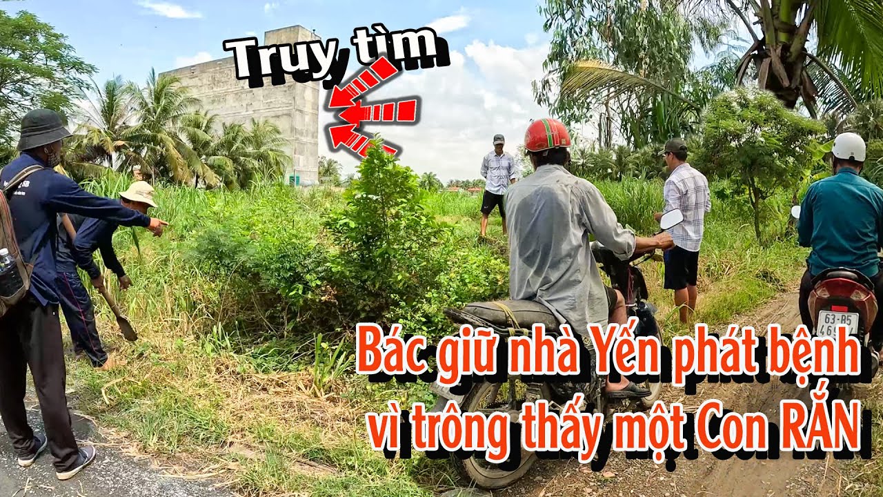 Mở Màng Ngày ĐI SĂN với Cặp Rắn Chất Lượng | TGSB #990