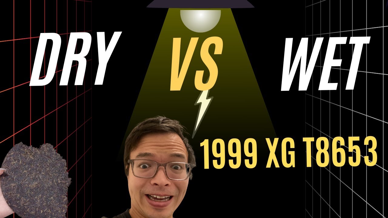 Too Dry vs. Too Wet! 1999 XG T8653 [Inbetweenisode 456]