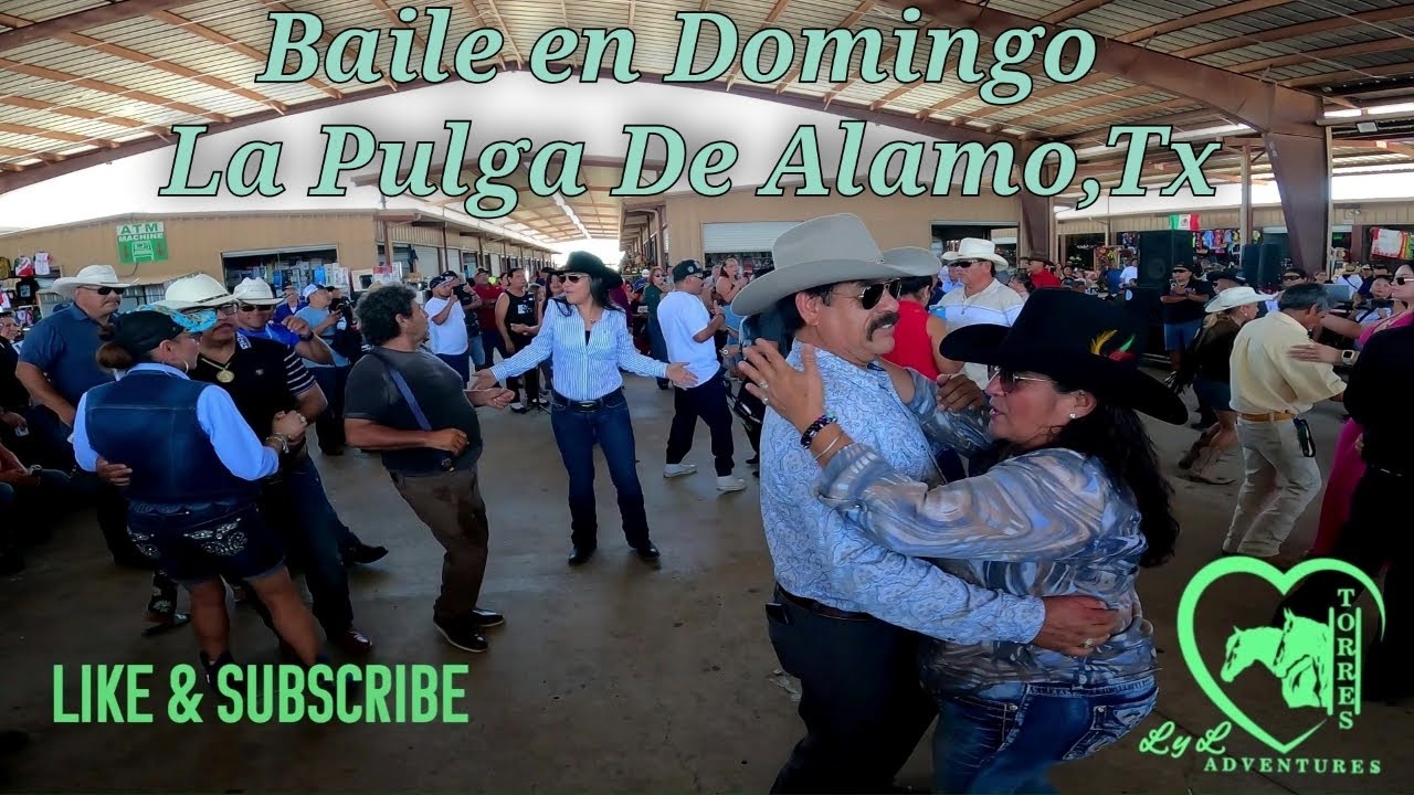 DOMINGO La Pulga de Alamo Tx 8/3/25