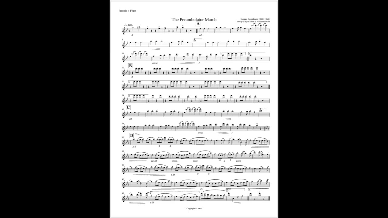 PERAMBULATOR - PICCOLO, FLUTE