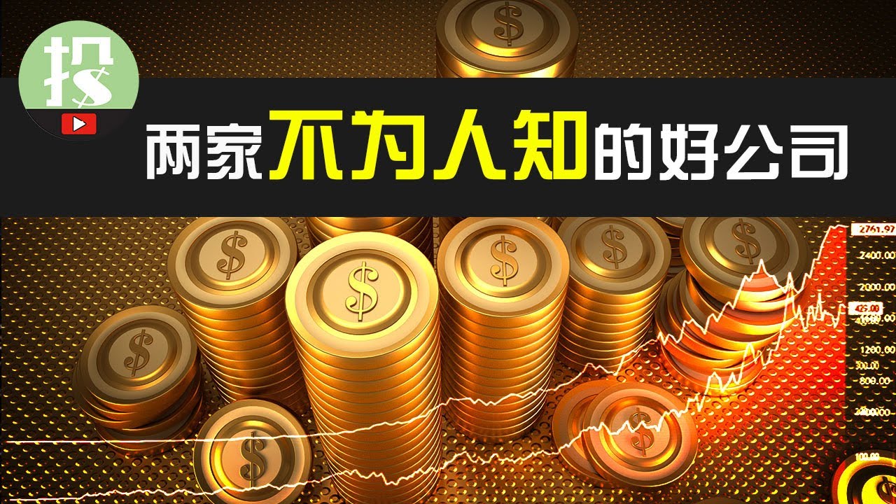 全网唯一讲解！两家超冷门好公司！用颠覆性的模式，赚颠覆性的钱！