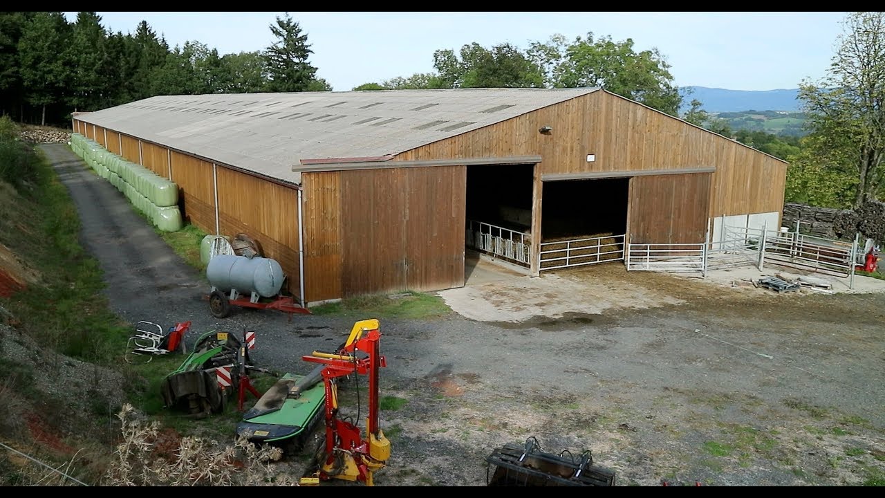 130-cow French suckler shed