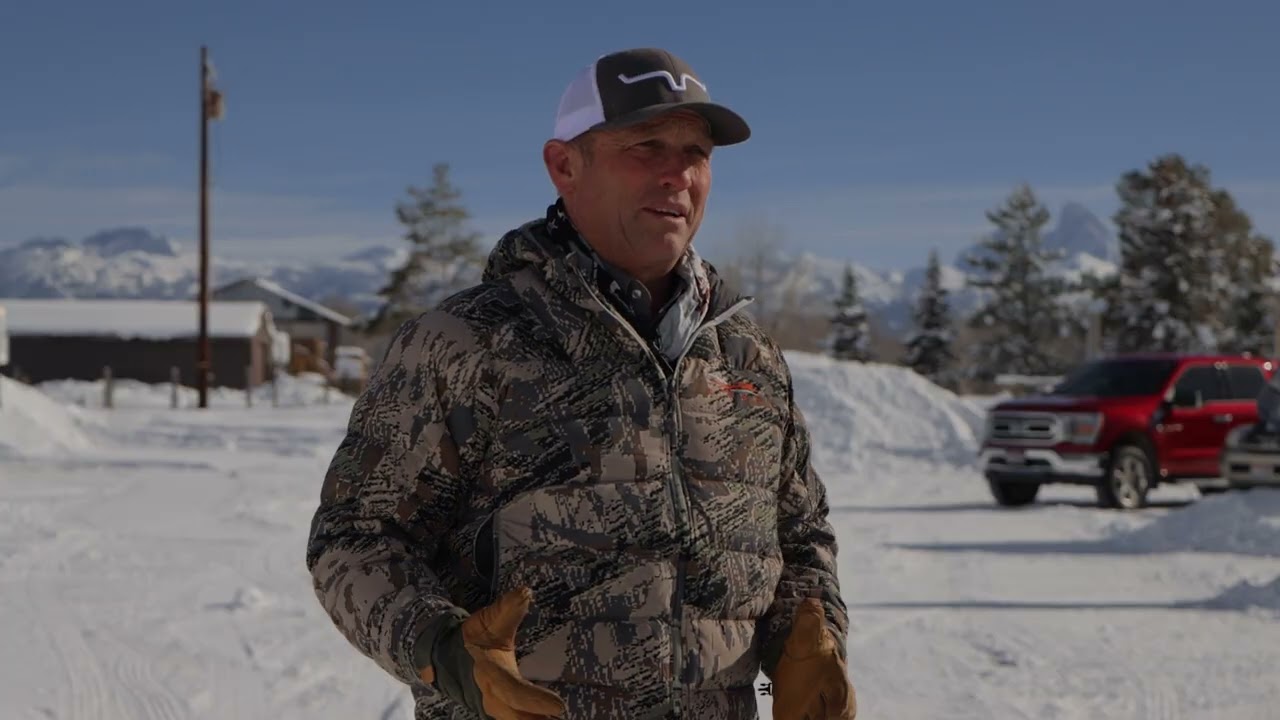 How Do Cows Survive the Winter?
