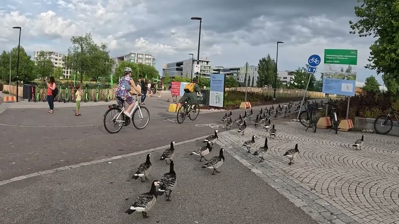 Helsinki: The City Designed for the Future