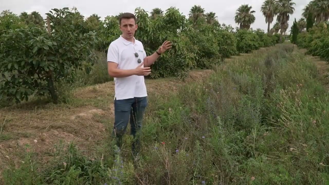 #VirtualFarm | &iquest;Por qu&eacute; son importantes las cubiertas vegetales?