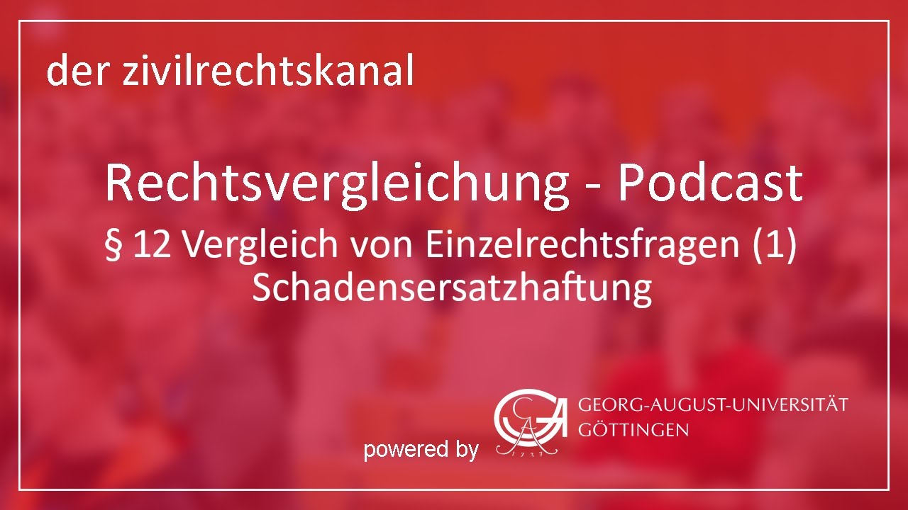 Folge 12: Vergleich von Einzelfragen (1) - Schadensersatzhaftung