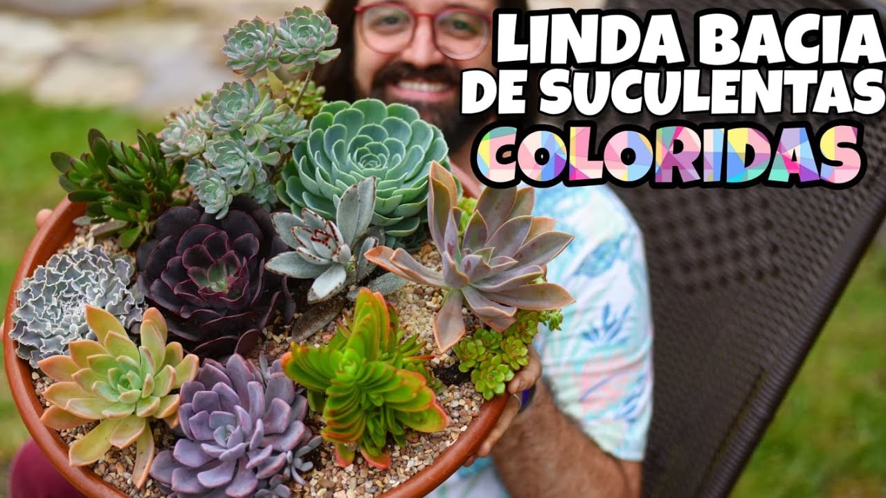 Bacia de SUCULENTAS COLORIDAS -  Arranjo Para Decorar