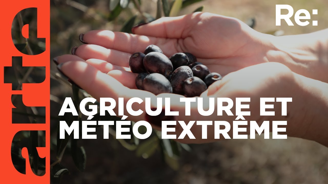 Changement climatique et alimentation | ARTE Regards