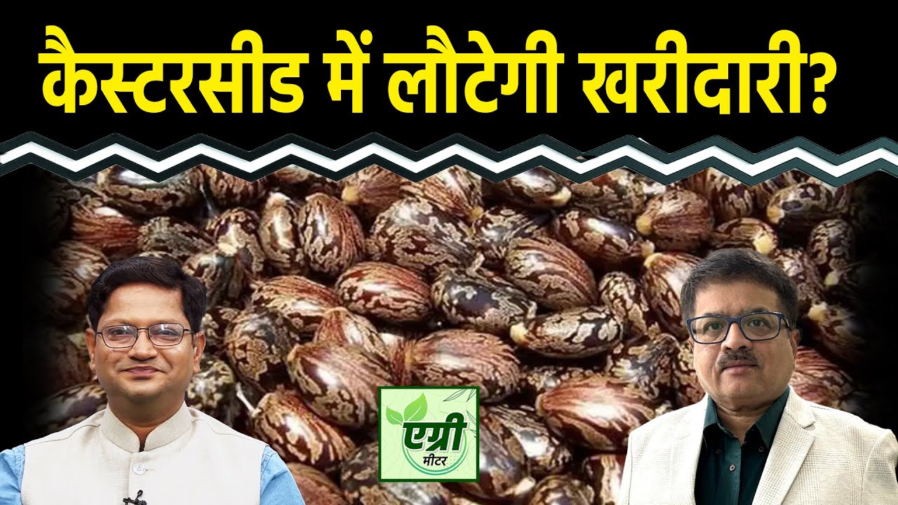 Commodity Market : NCDEX पर Castor Seed में खरीदारी करें या बिकवाली? Trading | Vipul Singh
