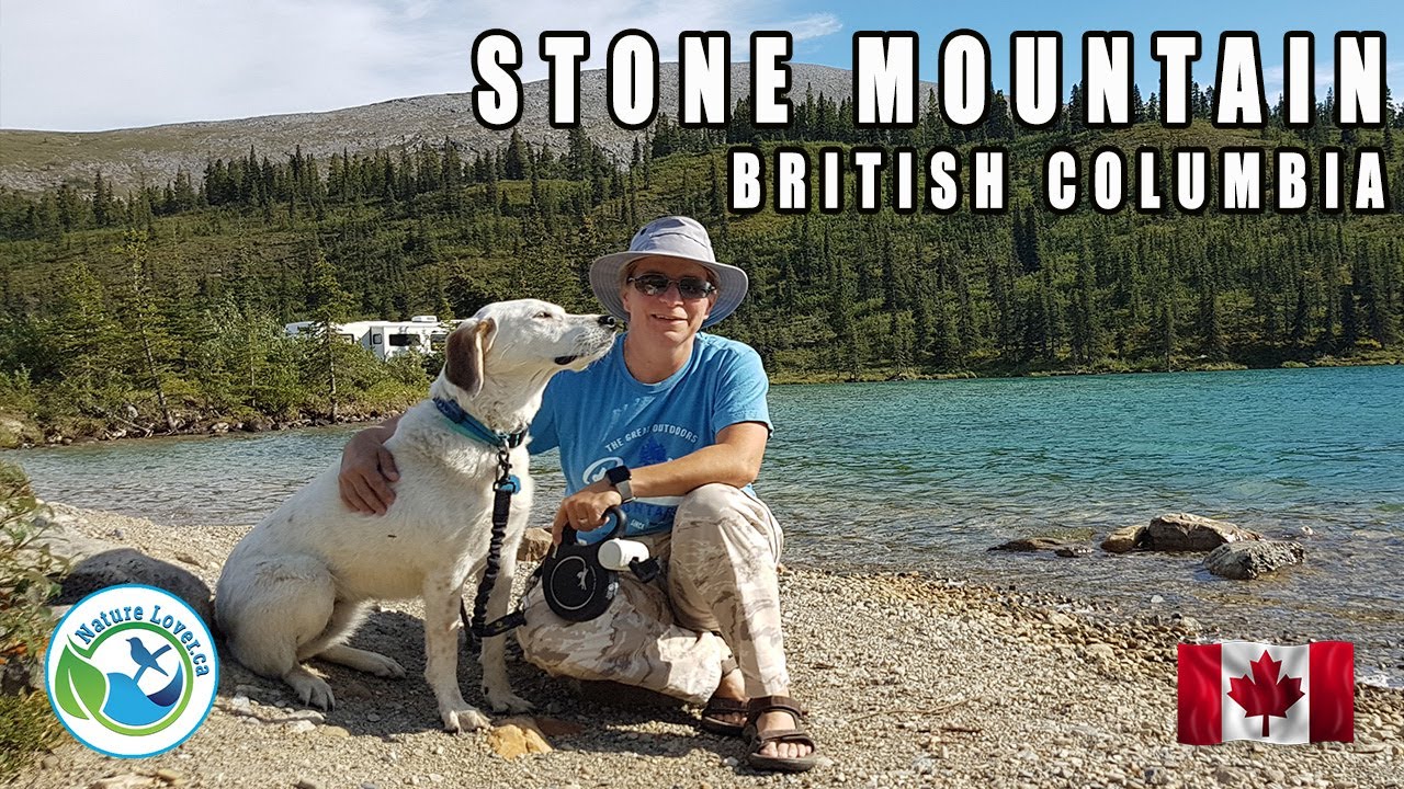 Dog Friendly Hiking in the Canadian Rockies (Stone Mountain BC) 🇨🇦