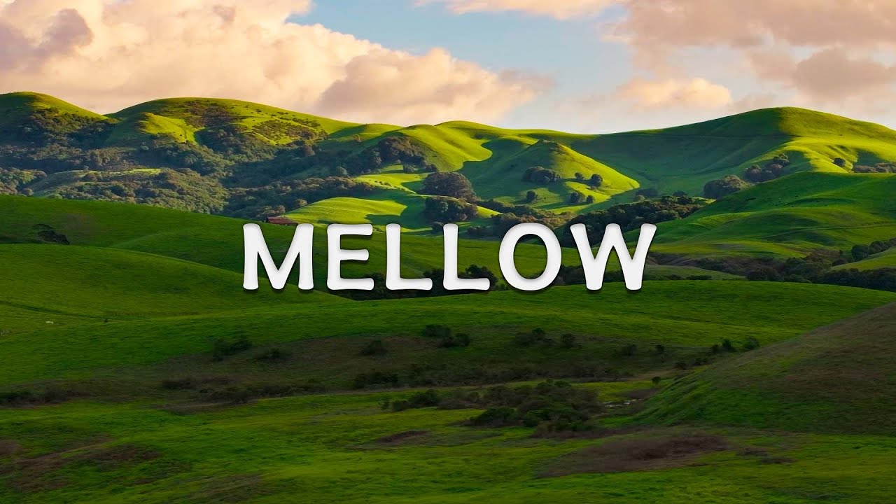 [PLAYLIST] LoFi Mellow / Relaxing LoFi #LoFiMellow, #RelaxingBeats, #LetGo