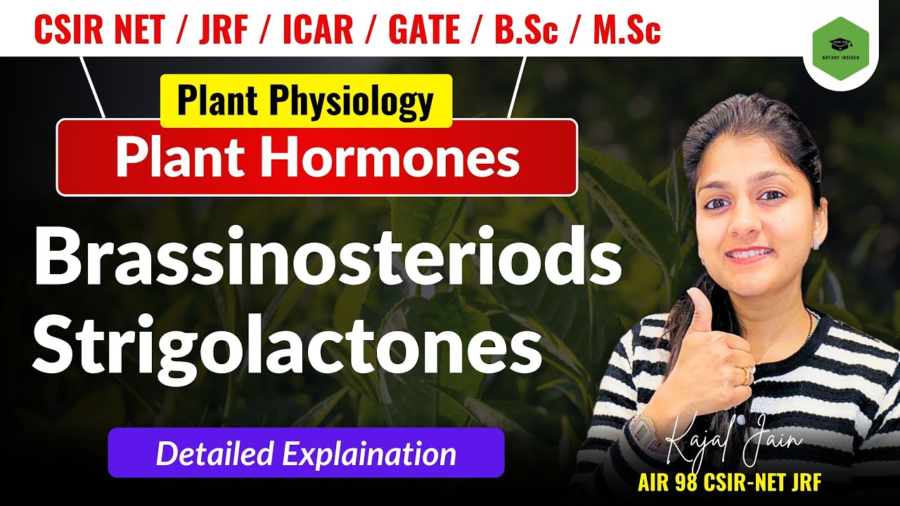 Brassinosteriods and Strigolactones | Intro| Signalling| Transport| Functions | CSIR-NET JRF | GATE