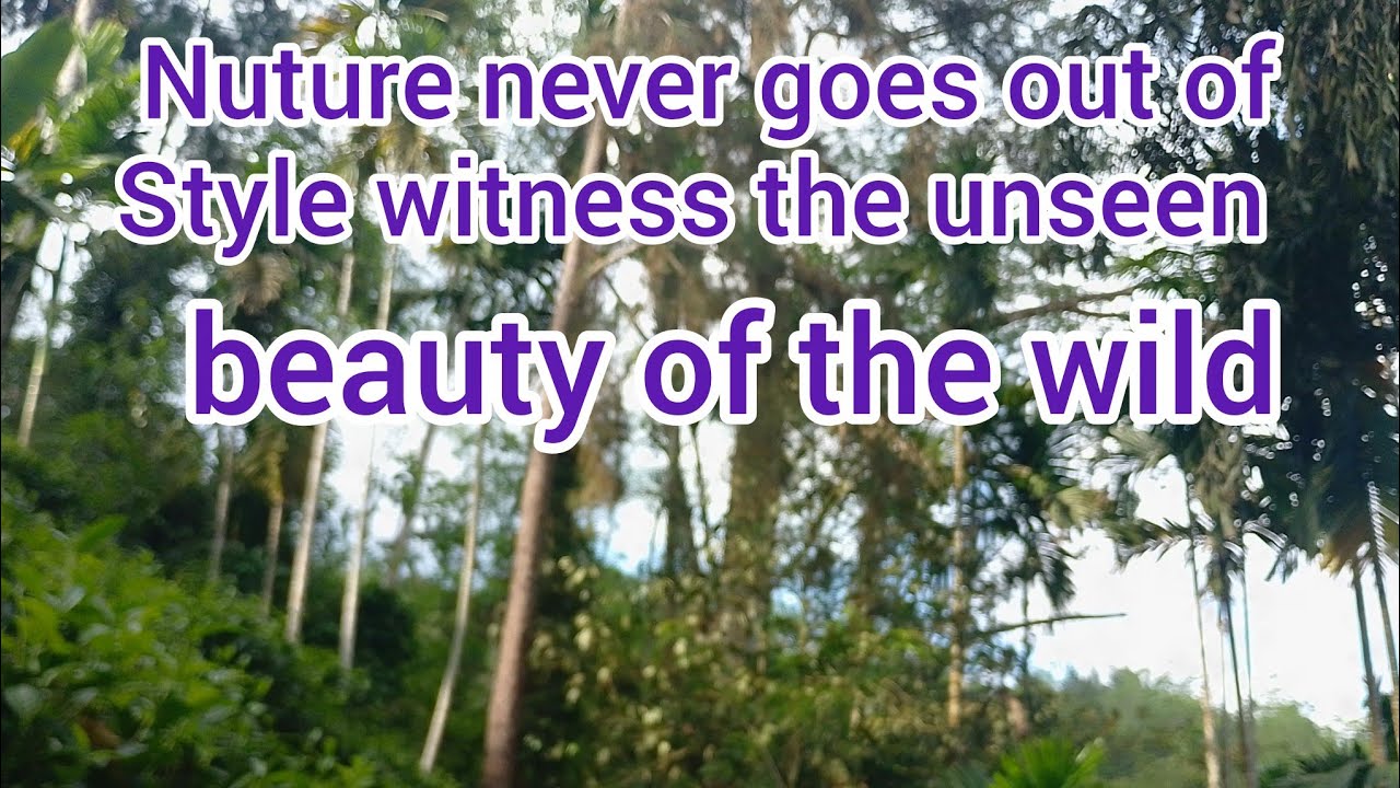 Sinharaja Paradise  is live!