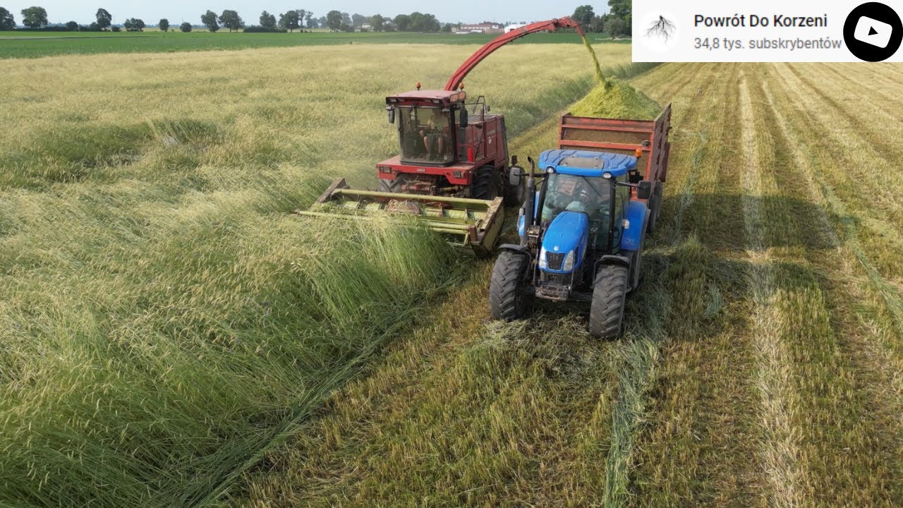 NASZA DNIÓWKA / Kosimy żyto / Jest plon!
