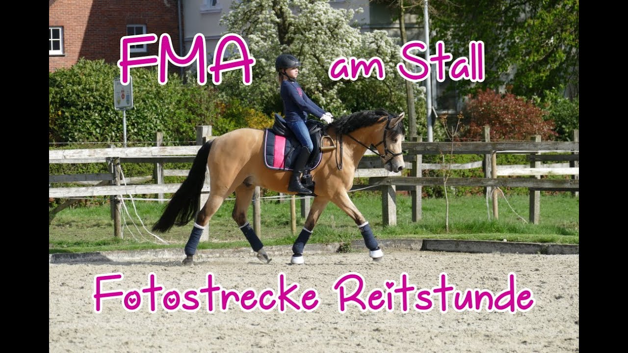 Lia & Alfi - kleines FMA am Stall 19.04.16