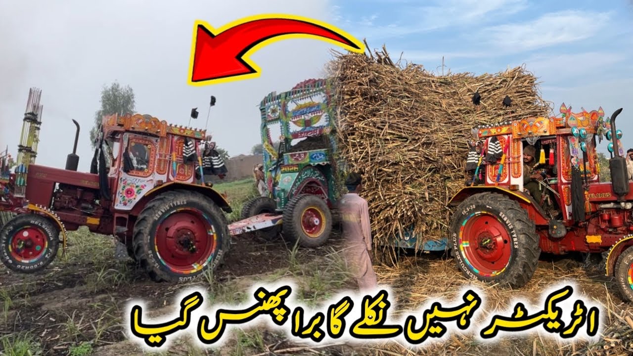 Traitor ￼ni Nile Ga Pura Pa Gaya village vlog