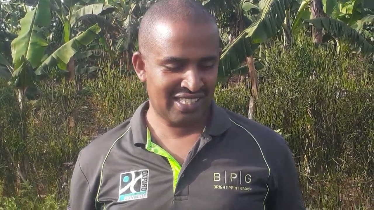 Ngicyi igisubizo cyokurwanya urwiri tudahinze.Nshima leta yacu nziza(Rwanda)nabayikunda.Eng.Ally