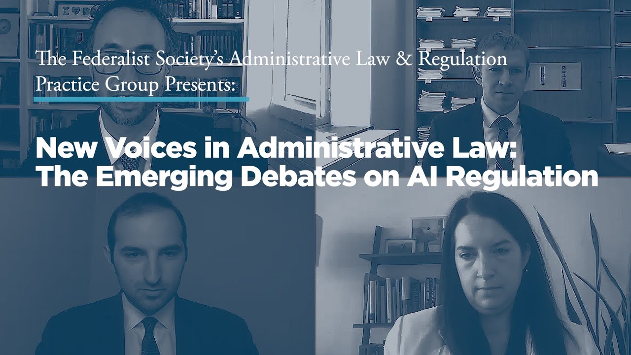 New Voices in Administrative Law: The Emerging Debates on AI Regulation
