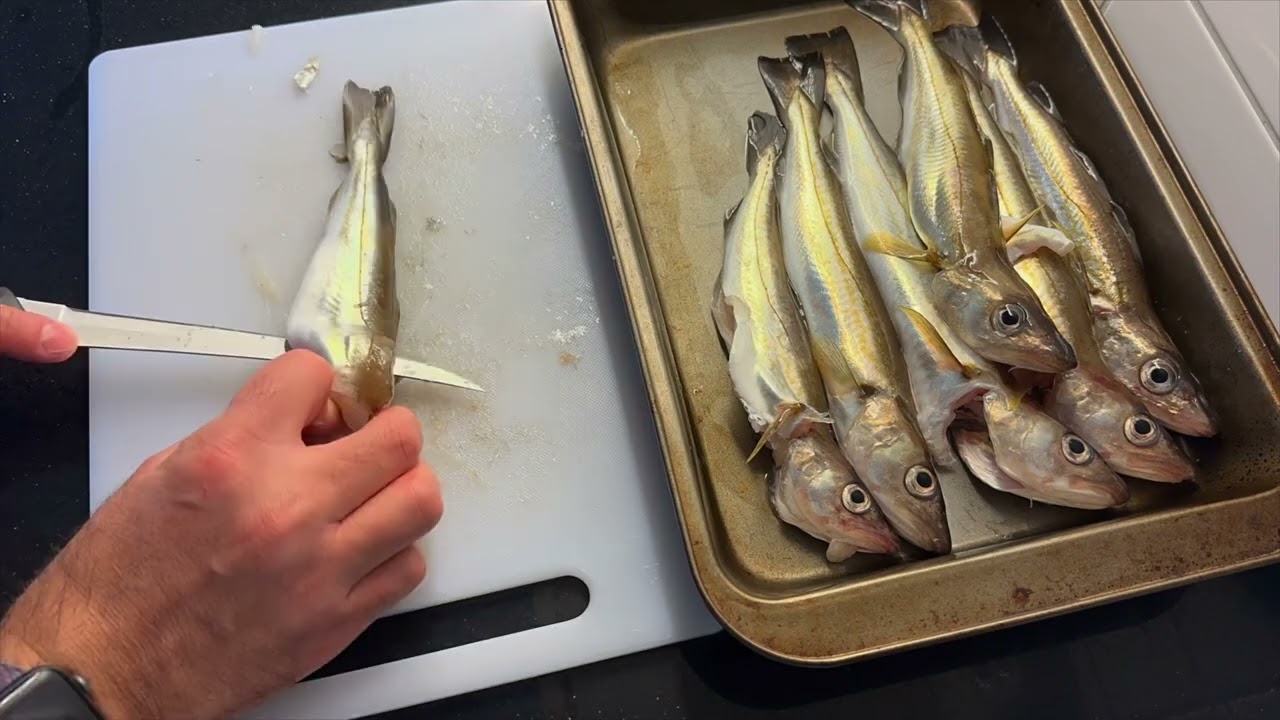 Whiting Catch and Cook - underrated and really tasty!