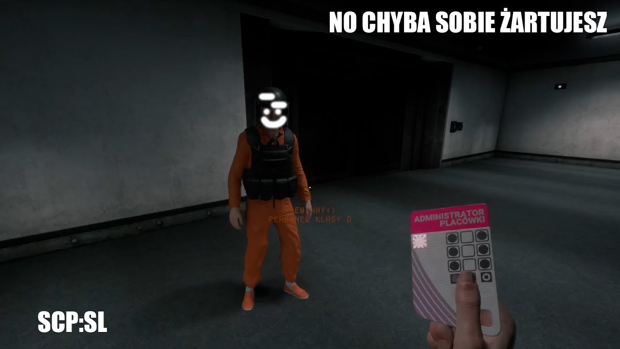 gram z wariatami XDDD