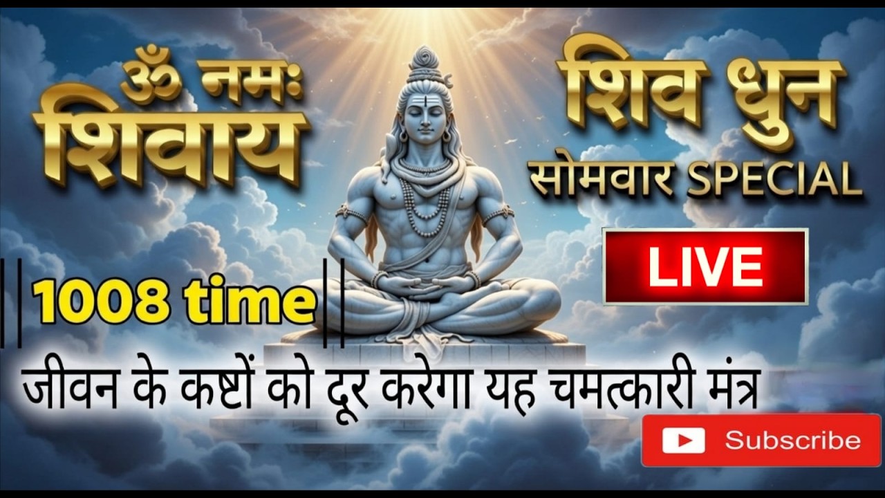 LIVE : 