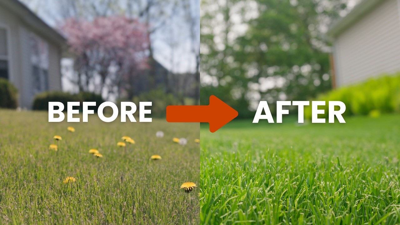 How to Get a Healthier, Greener Lawn with SpringGreen Lawn Care
