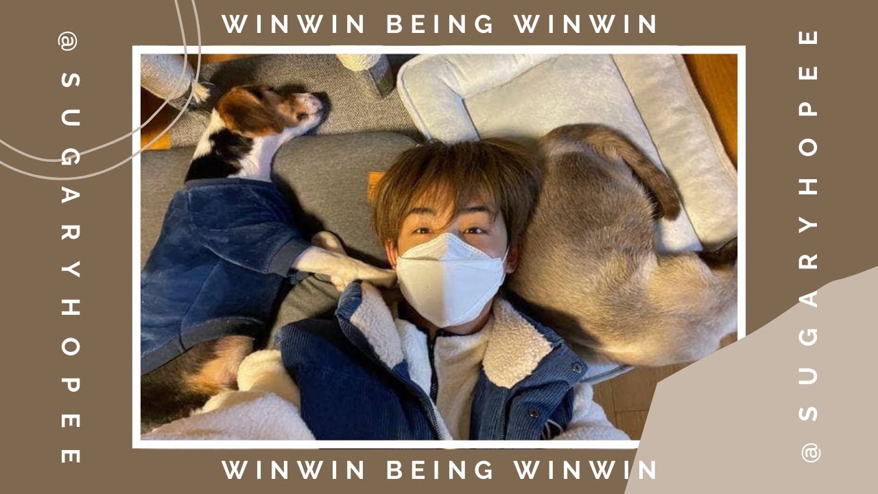 [WAYV] WINWIN BEING WINWIN // crack, cute, sassy sicheng moments