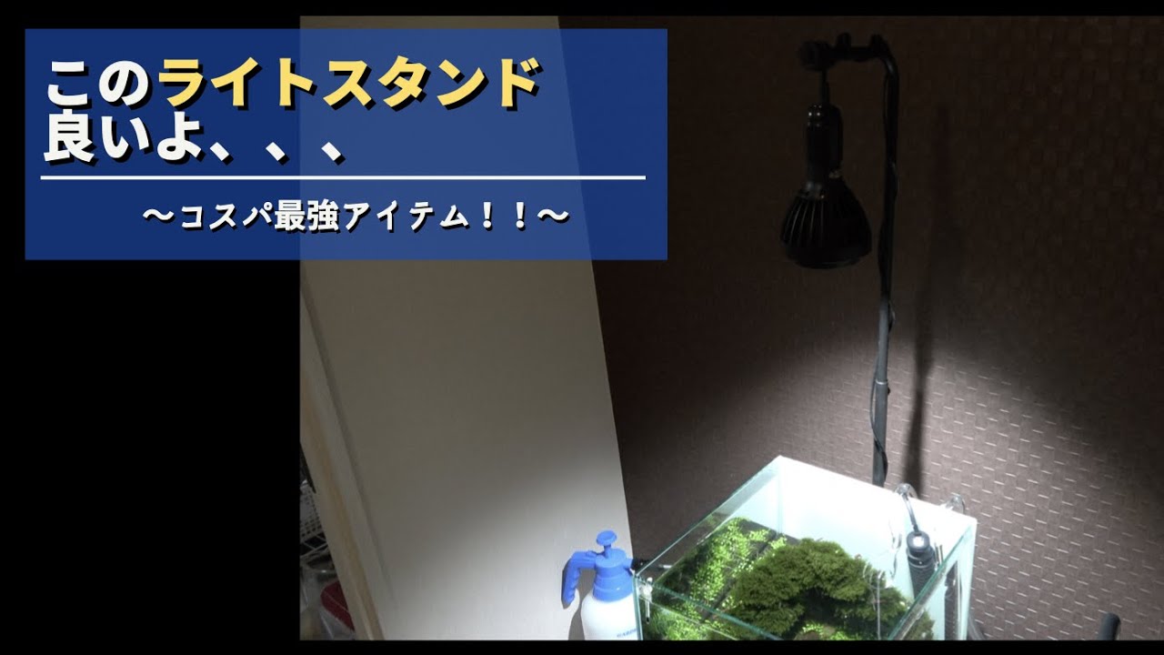 【アクアリウム】このライトスタンド、、、良いよ！