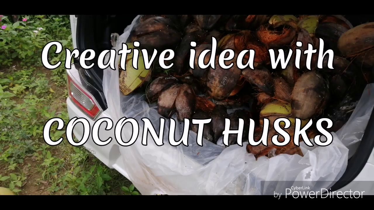 Creative Ideas make foot path from COCONUT HUSKS DIY, GARDNING FUN ENJOY