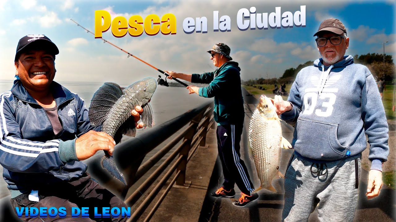 PESCA en la CIUDAD de Buenos Aires