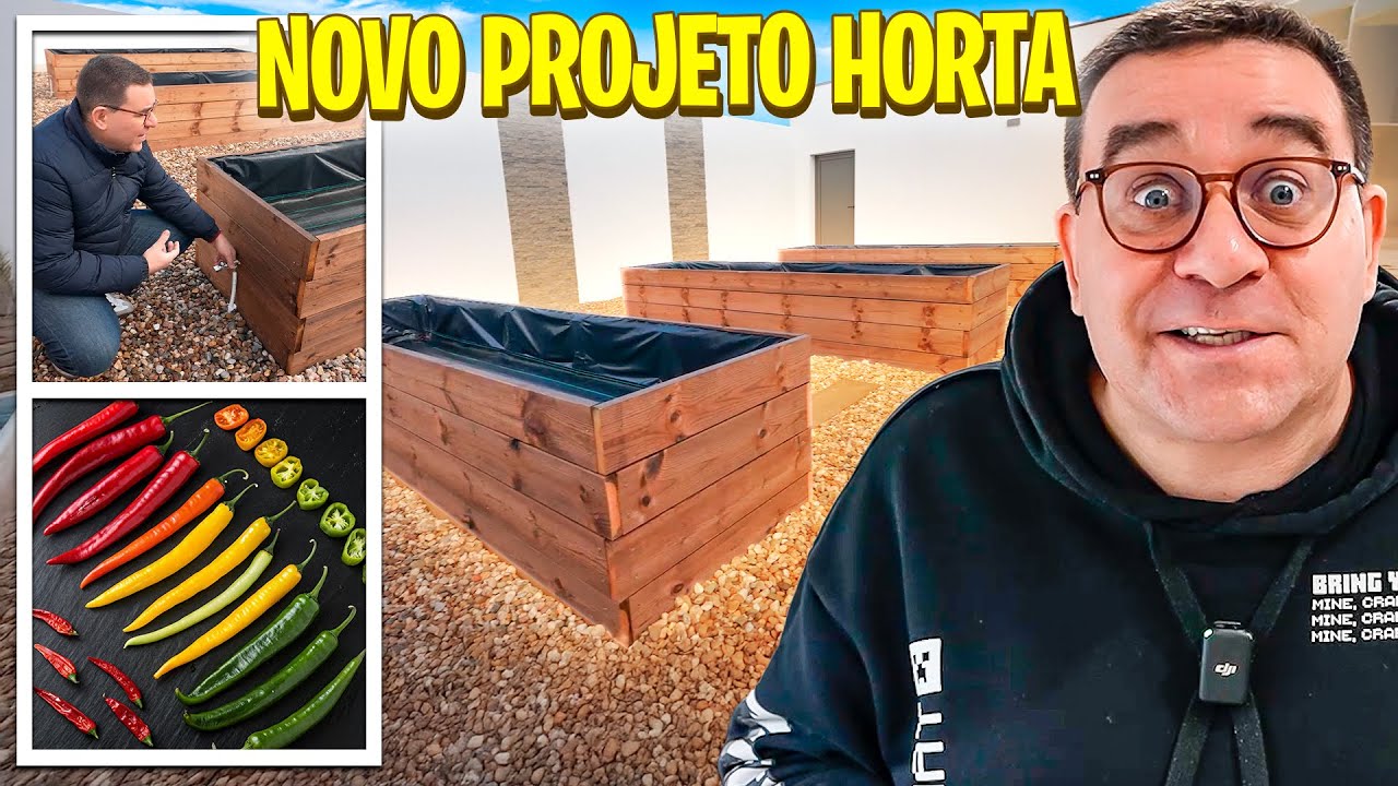 PIMENTAS DO RIC 2.0 🌶️🔥 NOVO PROJETO HORTA
