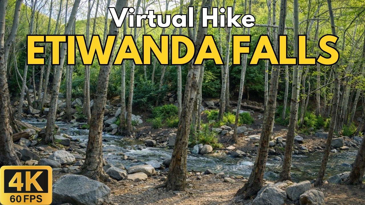 4K Virtual Treadmill Hike – Etiwanda Falls Trail Full Ascent | 38-Min POV Climb to the Waterfall
