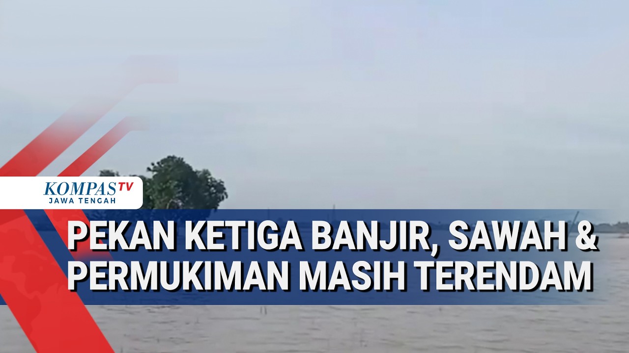 Pekan Ketiga Banjir di Karawang, Sawah & Permukiman Masih Terendam