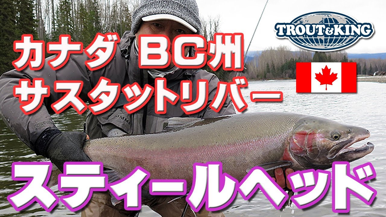 D11 カナダ サスタットリバーのスティールヘッド フライフィッシング Steelhead Flyfishing in Sustut River, Canada