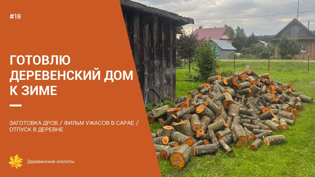 ПОДГОТОВКА К ЗИМЕ / ЗАГОТОВКА ДРОВ / УБОРКА В САРАЕ / ДЕРЕВЕНСКИЕ ХЛОПОТЫ