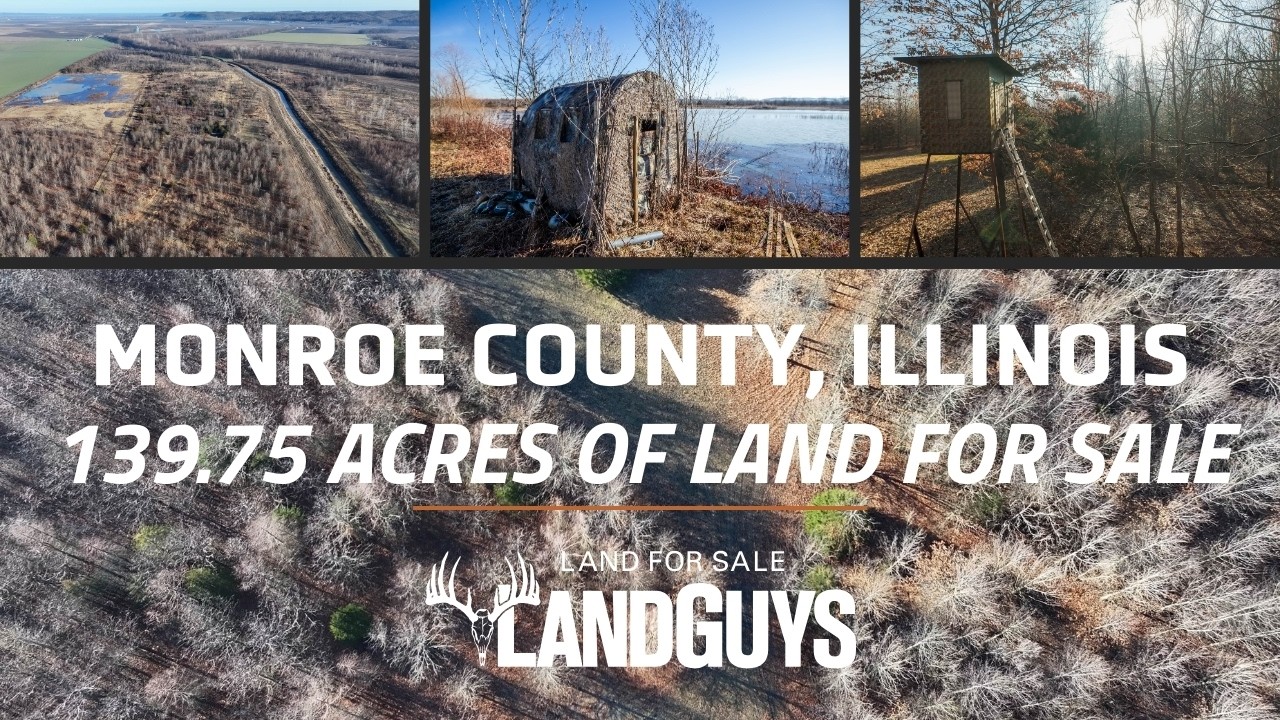 139.75± Acres Monroe County IL | Duck Impoundments & Trophy Whitetail Hunting