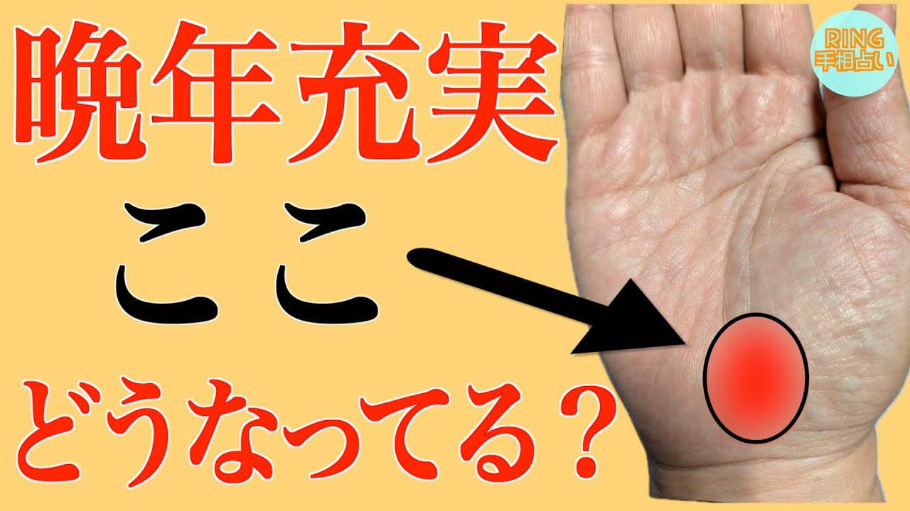 50代以降人生輝ける手相『二重生命線』徹底解説！鑑定歴25年占い師の手相勉強会第107回。#手相  #生命線