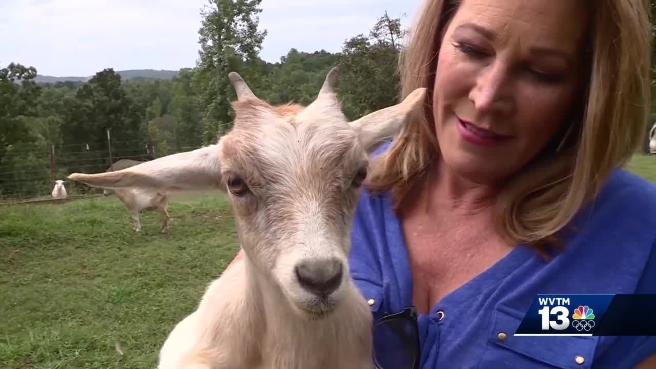 WVTM 13 Chronicle: Most memorable stories of 2021
