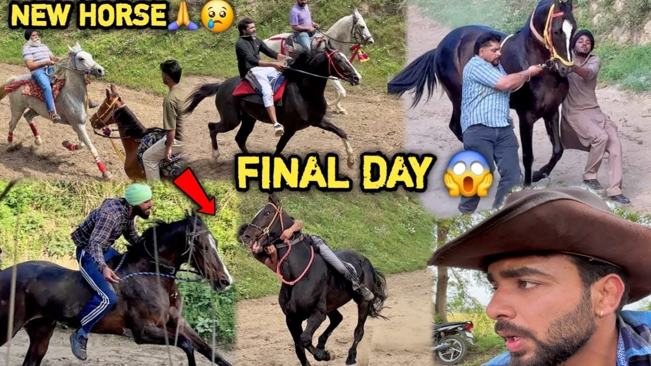 Championship Hai Ya जंग 😱Tournament Ke Din Super Fast Ghoda Pasand Aagya 😢💕Buying New सिंधी 🔥