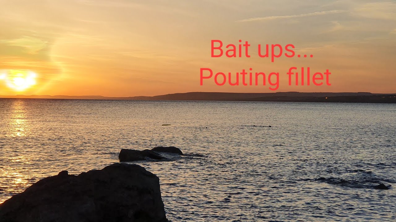 Pouting bait up for bigger fish. #shorefishing #rockfishing #bait #howto #hitnrunfishing