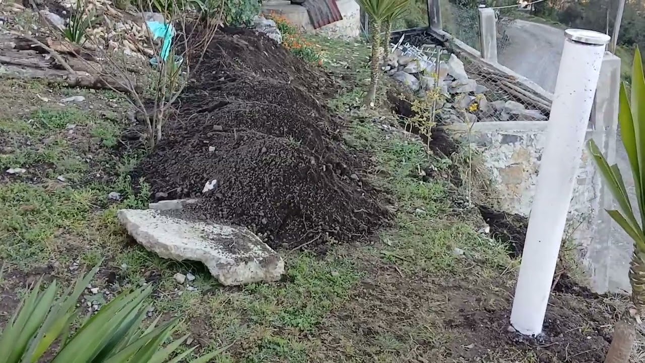 24 de febrero de 2026.  Trabajando  en el rancho.    