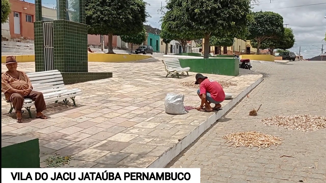 JACU JATAÚBA PERNAMBUCO
