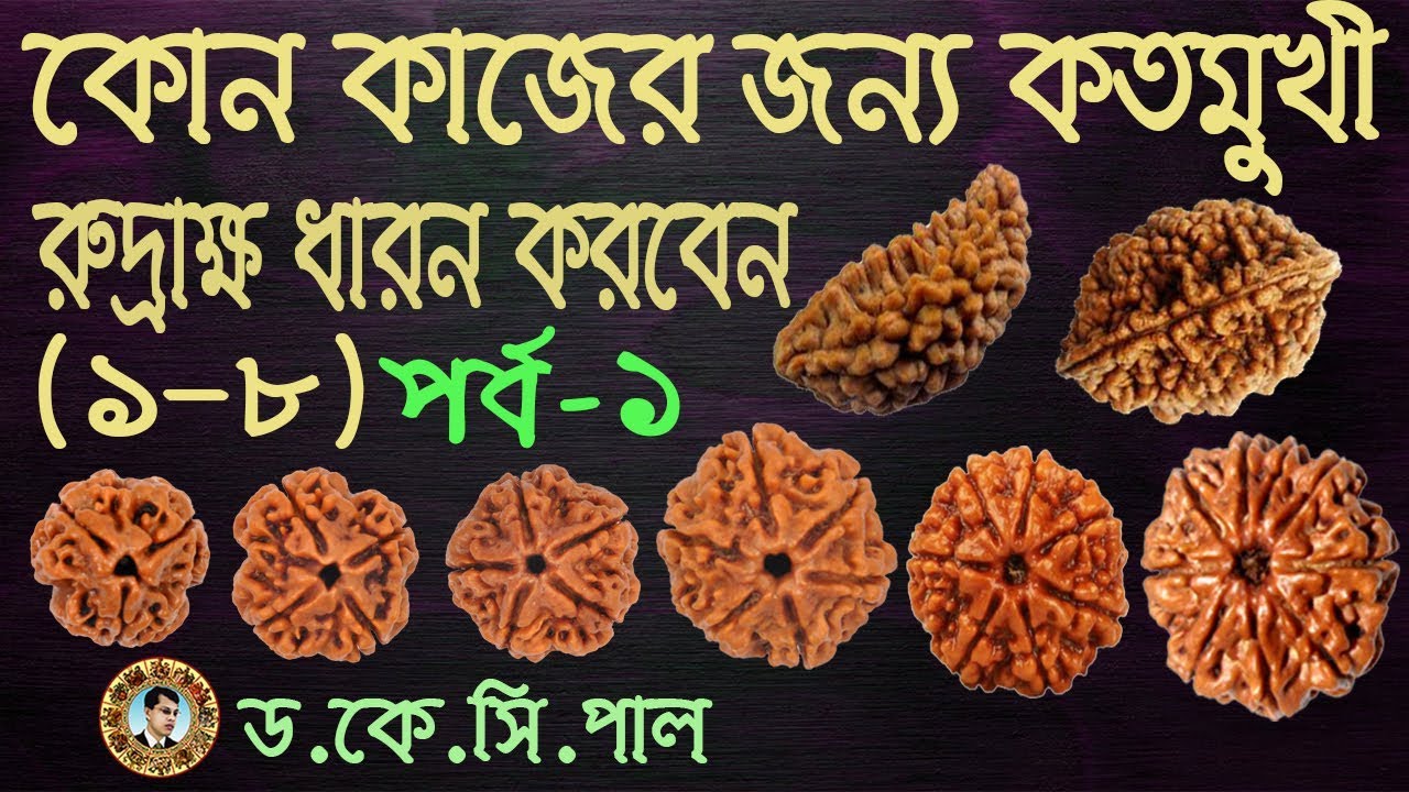 কোন কাজের জন্য কতমুখী রুদ্রাক্ষ ধারন করবেন (১-৮মুখী)পর্ব-১।Astrologer-Dr.K.C.Pal
