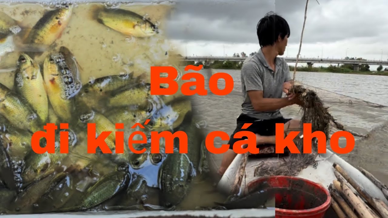 Ngày bão tố sấm chớp đùng đùng lên đồng mà gặp cảnh này