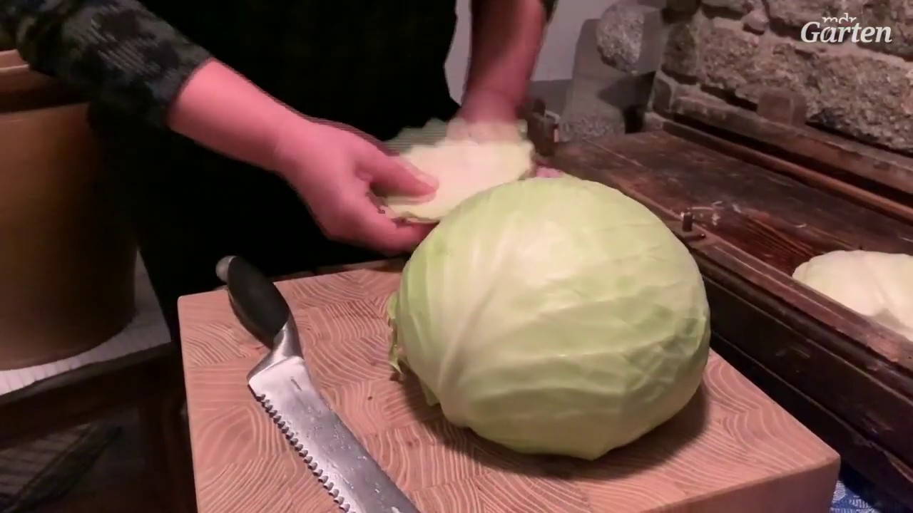 Rezept: Sauerkraut selber machen | MDR