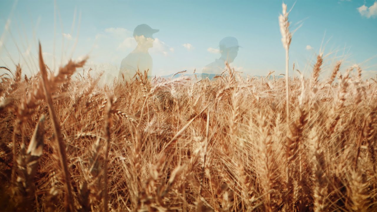 Agrobest Grup / Corporate Video